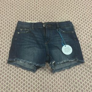 DL1961 Girls denim shorts